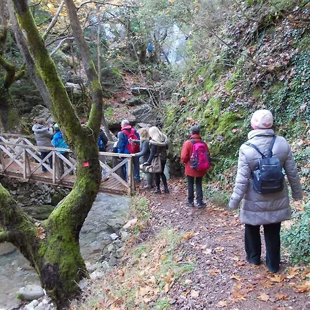 Hotel Emotions Country Voutiron