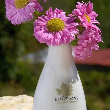 Hotel Emotions Country